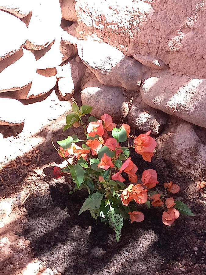 Casa Buenavista Otel San Pedro de Atacama Dış mekan fotoğraf